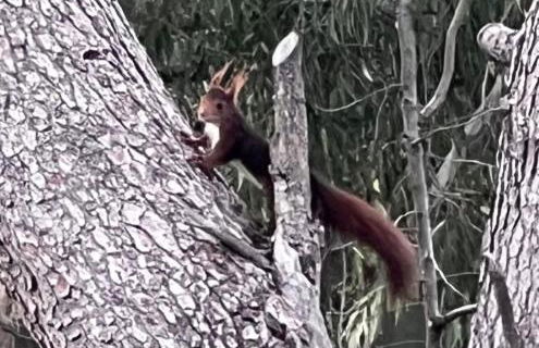 Stone Garden, Casa en plena naturaleza - Foto 62