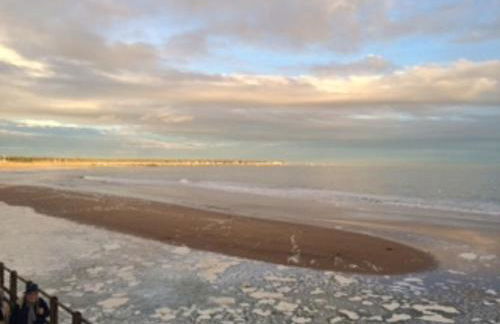 Appartement 43 m2 front de mer 3 clés vacances - Photo 43