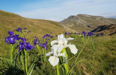 Appartement GAVARNIE Résidence Les 3 Cirques - Foto 30