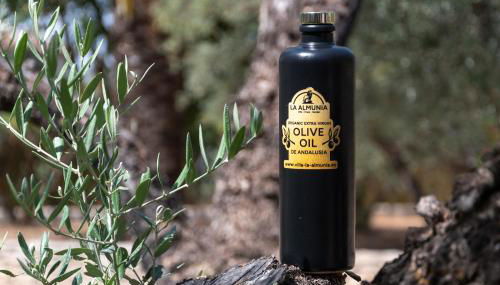 Andalusische Luxus-Finca Villa La Almunia Garden Ronda - Foto 5