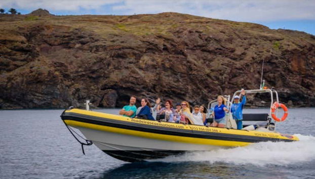 Whale & Dolphin Watching in Caniçal - Photo 2