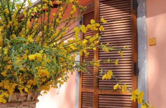 Appartamenti Capenti - Foto 7