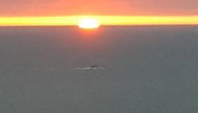 Apartamento Mar Salgado Ericeira - Photo 3