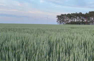 Artvilla am See - Foto 49