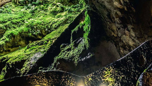 Excursão às grutas vulcânicas da Terceira