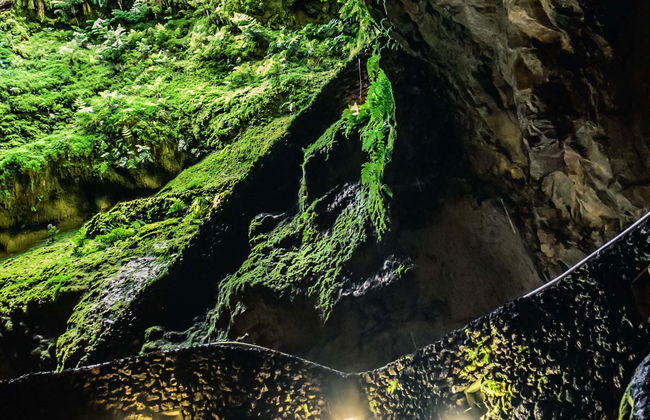 Excursion aux grottes volcaniques - Photo 4