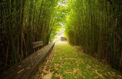 Caloura Suite - Photo 21