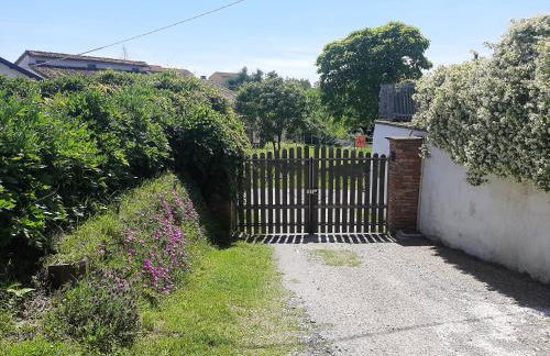 Cascina Teresina Monferrato Piscina - Foto 24