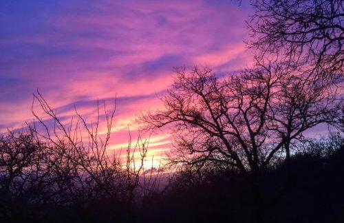 Agriturismo Podere Costarella - Foto 9