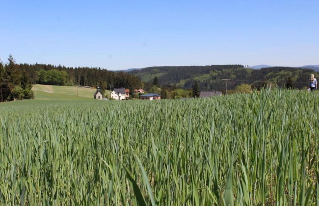 Holiday Home With Garden in Weissenbrunn - Foto 35