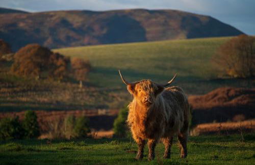 Kipney Farmhouse with hot tub - Photo 58