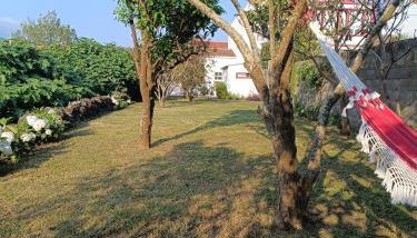 Casa dos Narizes - Photo 1, Garden