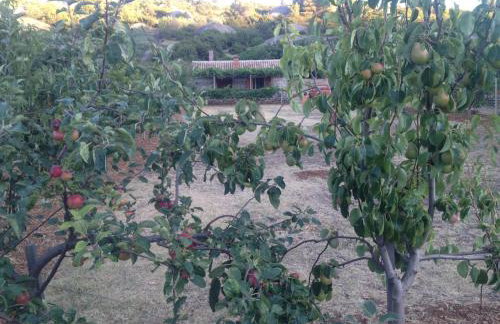 Country House Speedy - Foto 22