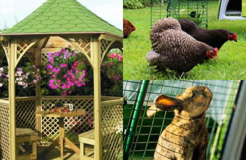 Les Aurores - Foto 10