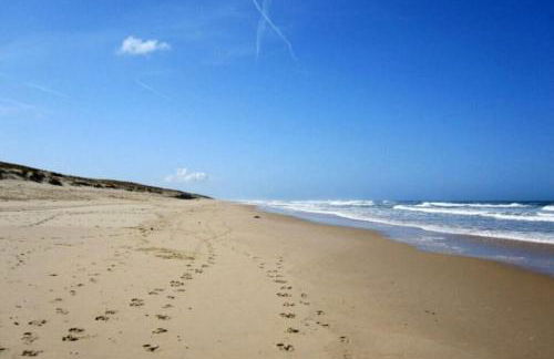 Aux Mouettes les pieds dans l'eau accès direct à la place 5 personnes - Foto 24