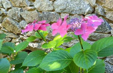 L'ancienne école de Sainte-Marguerite - Foto 29