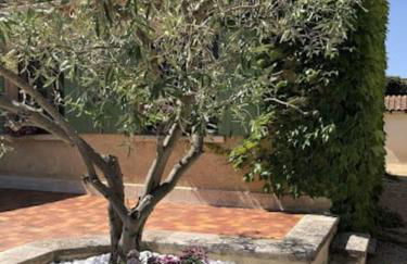 La Pitchoune : Gîte aux pieds des Alpilles - Foto 20