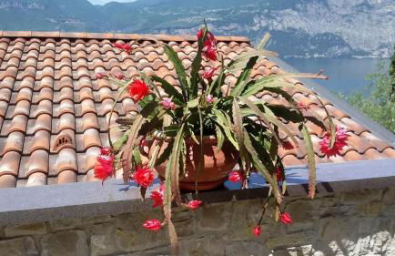 Casa Valenti - Foto 74