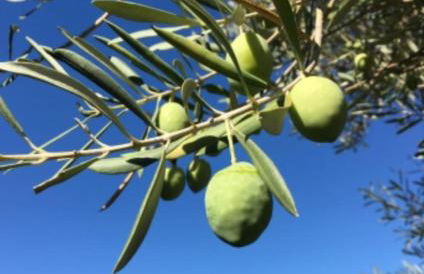 SE LO SENTI LO SAI - Foto 26