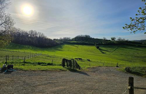 Domaine de Massoulac - Foto 38