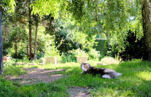 Ostsee-Gutshaus Am Salzhaff Pepelow nähe Rerik- am Meer residieren! - Foto 72