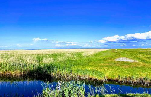 Apartamenty - Dom Smołdziński Las - Foto 35