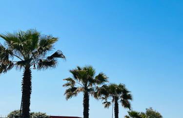 casa dell'artista - Photo 43