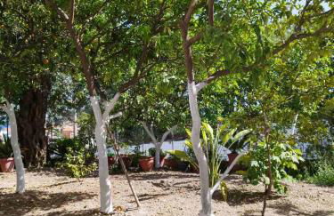 Aithra Studios - Foto 7