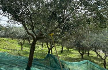 Agriturismo La Vita è Bella - Foto 15