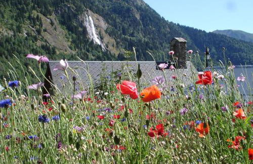 Chalet LEPERVIERE - Photo 25