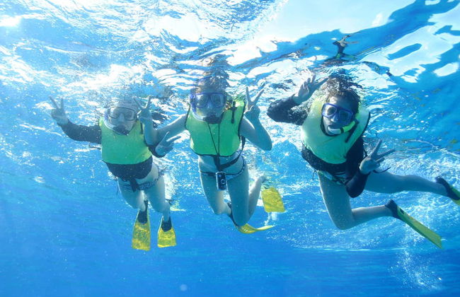 Oahu Dolphin or Turtle Watching & Snorkeling - Foto 6