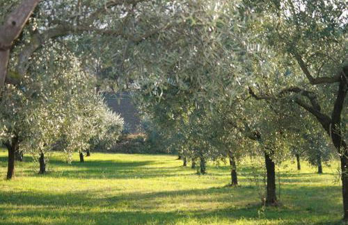 Casolare Santa Margherita - Photo 6