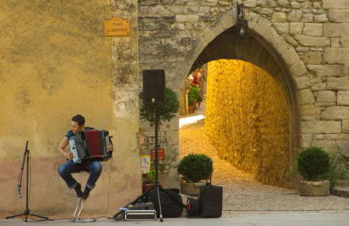 Chateau des Gipières bij de Mont Ventoux - Foto 61