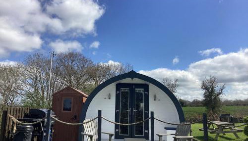 Cherry Pod 2 - Foto 4