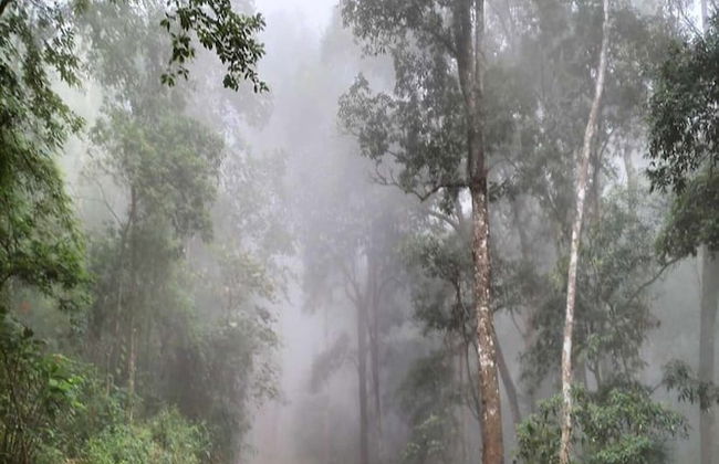 Doi Pumuen Lahu Homestay - Foto 33