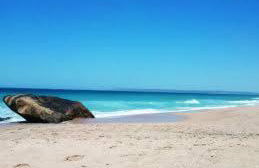 Apartamento Zahara De Los Atunes - Photo 35