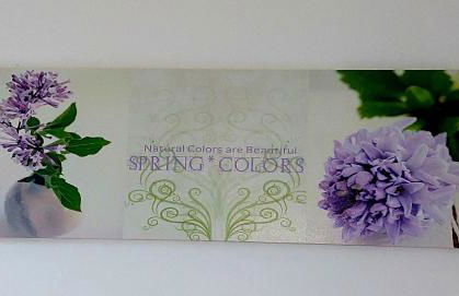 Villette Susanna - Foto 19