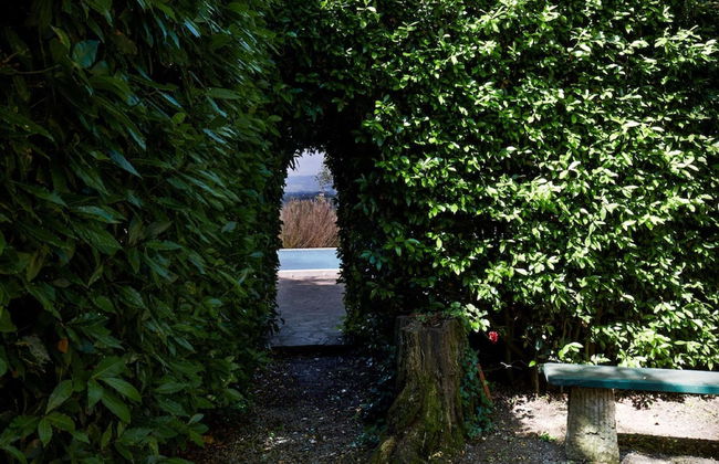 Vino, Views and Relaxing Stay - Foto 26