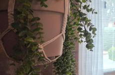 Zen Den Studio - Foto 26