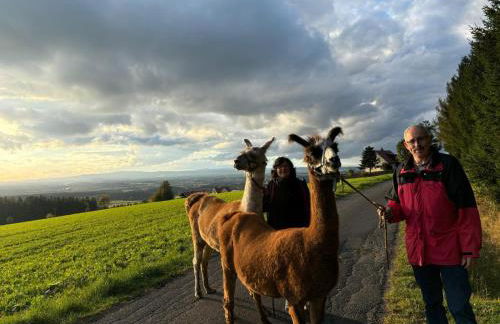 Birkholmhof - Foto 15