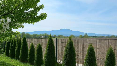 Mc Garry Apartments and Garden - Foto 5