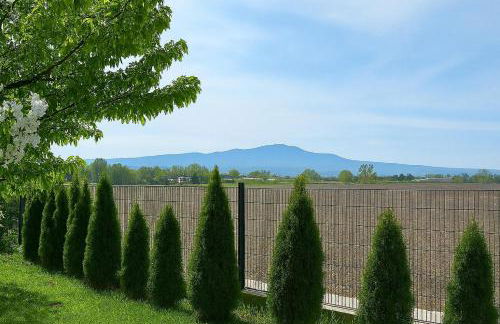 Mc Garry Apartments and Garden - Foto 5