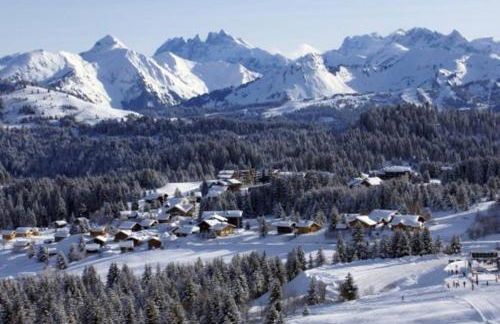 Appartement pied des pistes - Foto 17