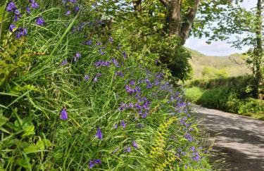Beautiful Mill House by the sea, Nolton Haven - Foto 80