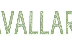 Cavallara - pace, natura e musica - Foto 47