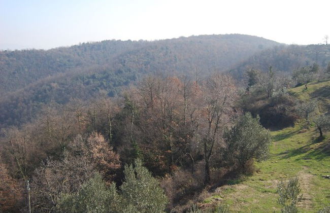 Castello di Cisterna - Photo 7