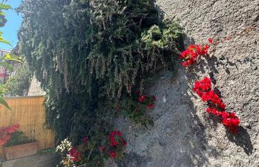 Capri Joy Apartments - Foto 34