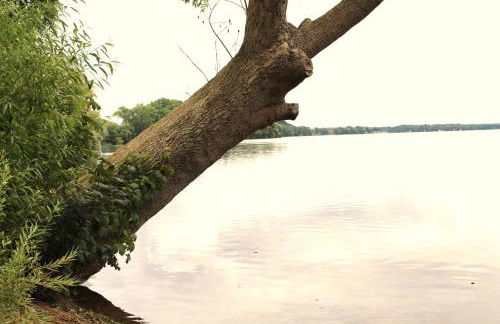 FerienWohnung SeeUfer am Plöner See - Foto 28