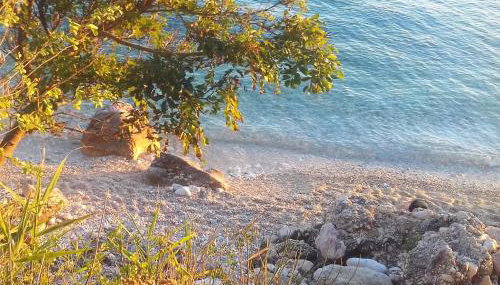 MaraMare Apartments - Foto 2