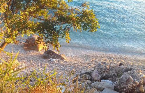 MaraMare Apartments - Foto 2